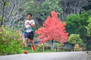 BIB: 8129
                            <button type="button" onclick="openModal(19238949)" class="btn btn-primary btn-sm float-right btn-popup" data-toggle="modal" data-target=".modal-high-quality">
                        <i class="fas fa-shopping-cart"></i> Add to Cart
                    </button>
                                            <button type="button" onclick="isThisMe(19238949, true)" class="btn btn-success btn-sm float-right btn-popup btn-isme hidden" data-toggle="tooltip" data-placement="bottom" title="นี่คือรูปของคุณใช่ไหม คลิกที่นี่เพื่อเอาเข้าอัลบั้ม">
                        <i class="fas fa-plus"></i> Add to album
                    </button>
                    <button type="button" onclick="isThisMe(19238949, false)" class="btn btn-warning btn-sm float-right btn-popup btn-isnotme hidden">
                        <i class="fas fa-ban"></i> Remove from album
                    </button>